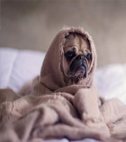 延边朝鲜族有这样的手机号码，留不住钱，你中枪了吗？