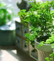 延边朝鲜族专属于你的开运指南，助你鸿运当头福满身！