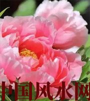 延边朝鲜族预示你财运上升，姻缘可成的梦境，快来看看吧！