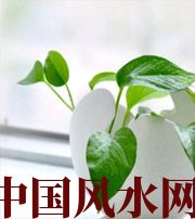 延边朝鲜族家中摆放六种吉祥物，会打开您的财运大门！