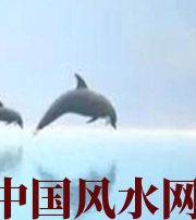 延边朝鲜族做梦梦到这些，是要富裕的征兆！